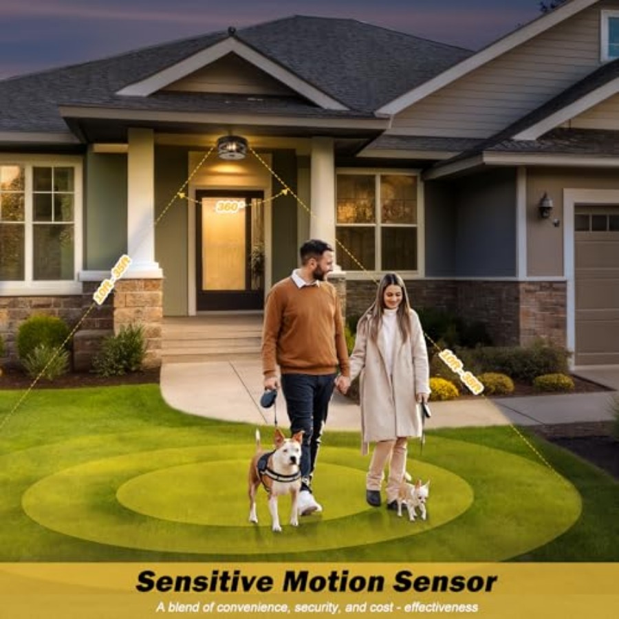 Lámpara de techo para exterior - Motion Sensor Light reseña y precio